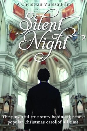 Silent Night 2013