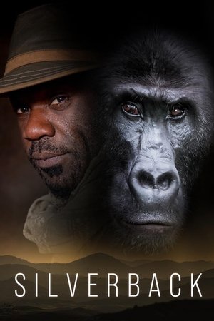 Silverback 2024