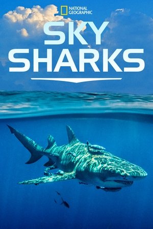 Sky Sharks 2022