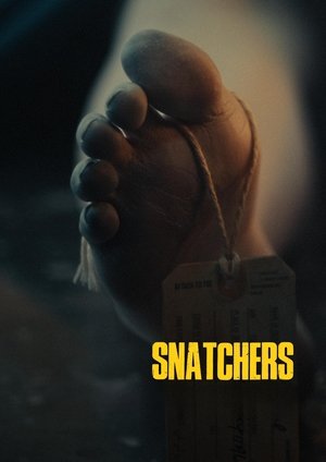 Snatchers 2025