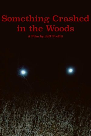 Something Crashed in the Woods 2019