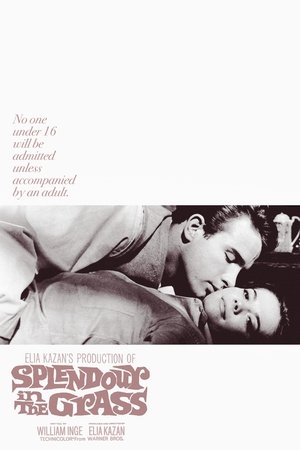 Splendor in the Grass 1961