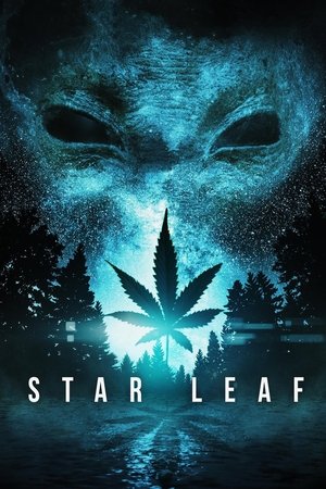Star Leaf 2015