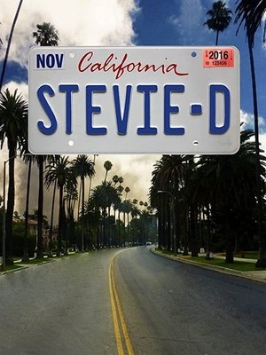 Stevie D 2016