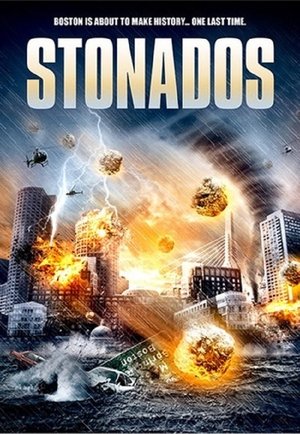Stonados 2013