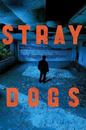 Stray Dogs 2013