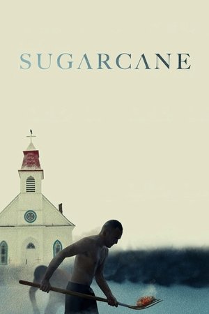 Sugarcane 2024