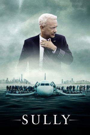Sully 2016