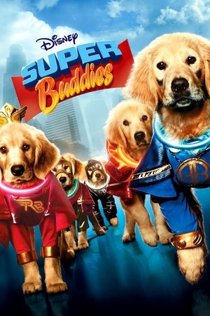 Super Buddies 2013