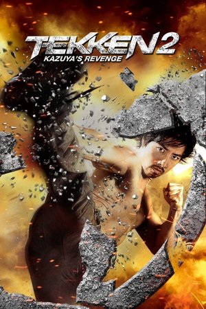 TEKKEN: Kazuya's Revenge 2014
