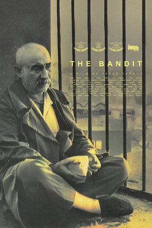 The Bandit 1996