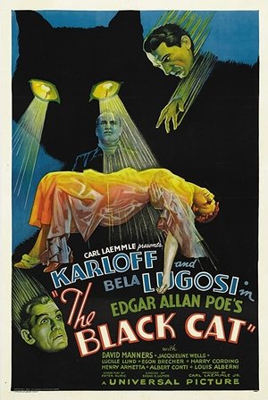 The Black Cat 1934
