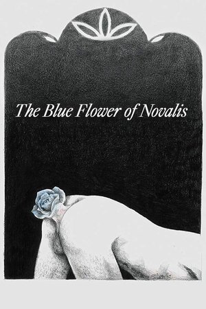 The Blue Flower of Novalis 2018