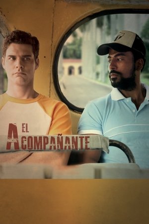 The Companion 2016