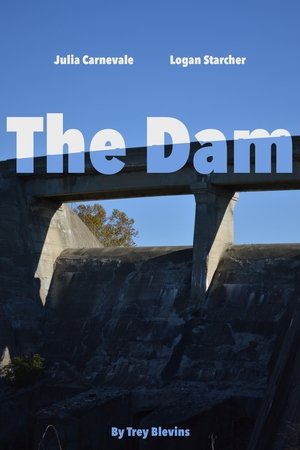 The Dam 2025