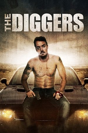 The Diggers 2019