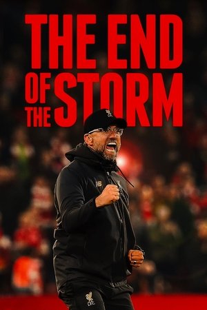 The End of the Storm 2020