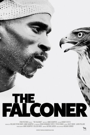 The Falconer 2020