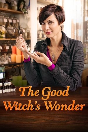 The Good Witch's Wonder 2014