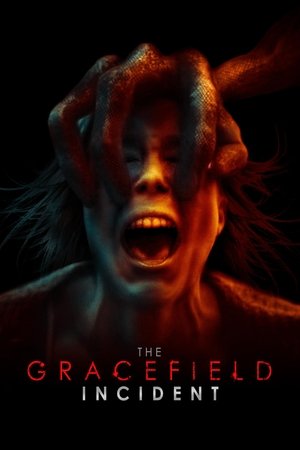 The Gracefield Incident 2017