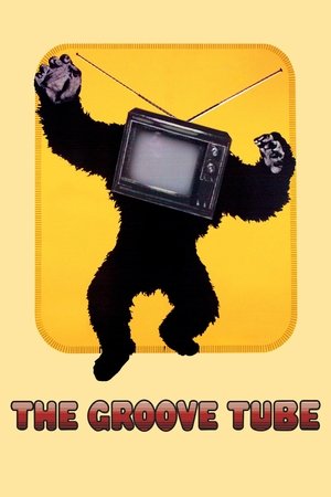 The Groove Tube 1974
