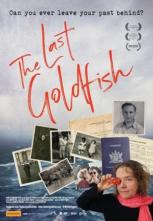 The Last Goldfish 2017