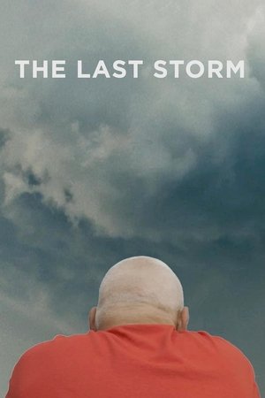 The Last Storm 2018