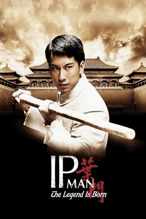 The Legend Is Born: Ip Man 2010
