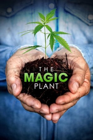 The Magic Plant 2022