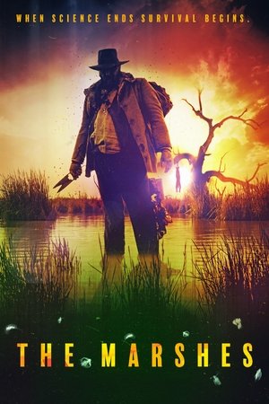 The Marshes 2017