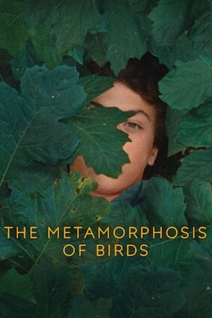 The Metamorphosis of Birds 2021
