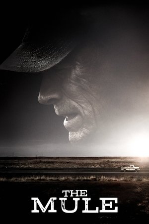 The Mule 2018