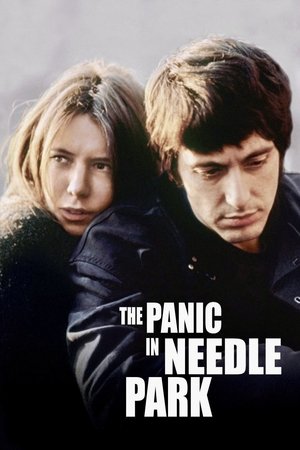 The Panic in Needle Park 1971