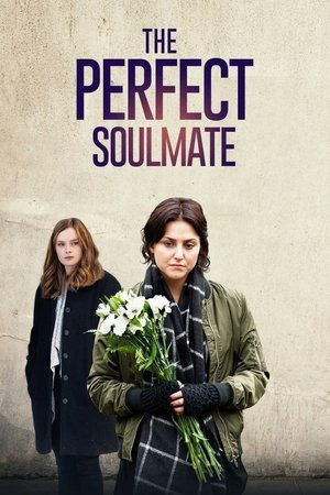 The Perfect Soulmate 2017