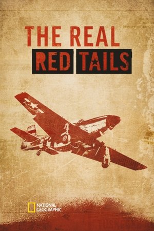 The Real Red Tails 2024