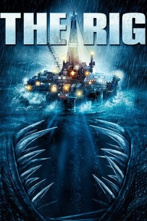 The Rig 2010