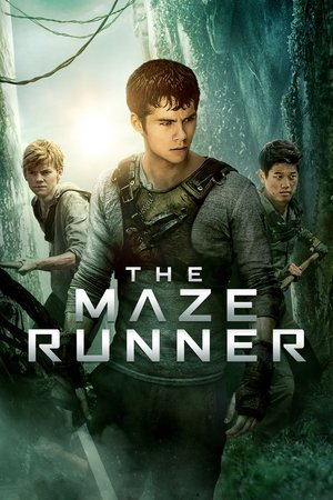 The Runner 2015