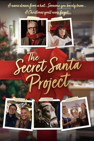 The Secret Santa Project 2025
