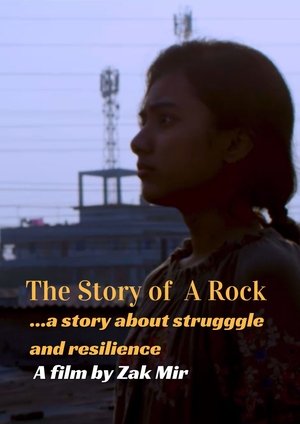 The Story of a Rock 2025