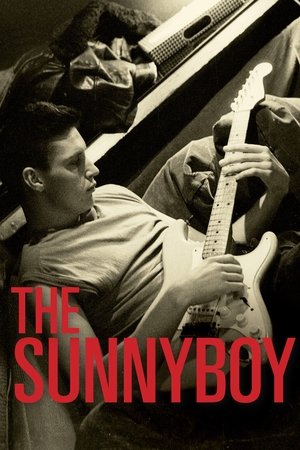 The Sunnyboy 2013