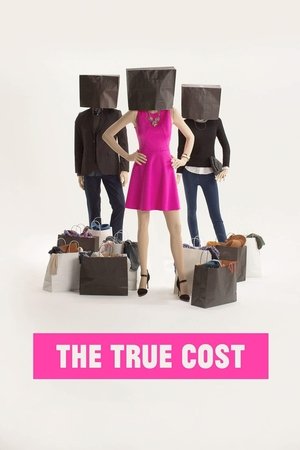 The True Cost 2015
