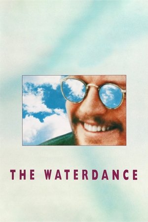 The Waterdance 1992