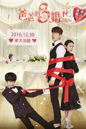Three Weddings 2016