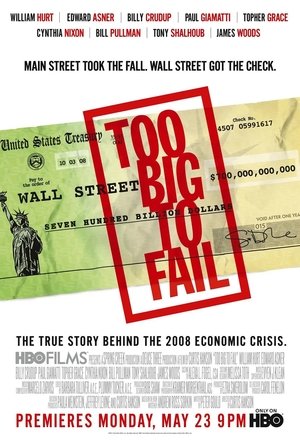Too Big to Fail 2011