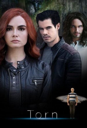 Torn: A Wicked Trilogy 2022
