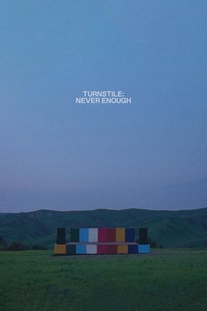 Turnstile: Never Enough 2025