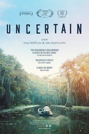 Uncertain 2017