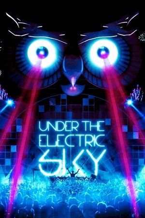 Under the Electric Sky 2014
