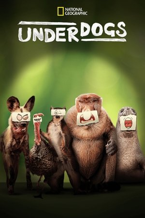 Underdogs 2025