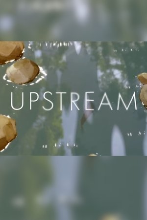 Upstream 2024